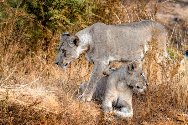 Fotoreis Kenia Tanzania-Avontuurlijke-Fotoreizen-8