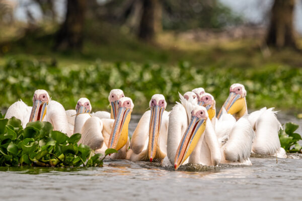 Fotoreis Kenia en Tanzania - Avontuurlijke Fotoreizen-13
